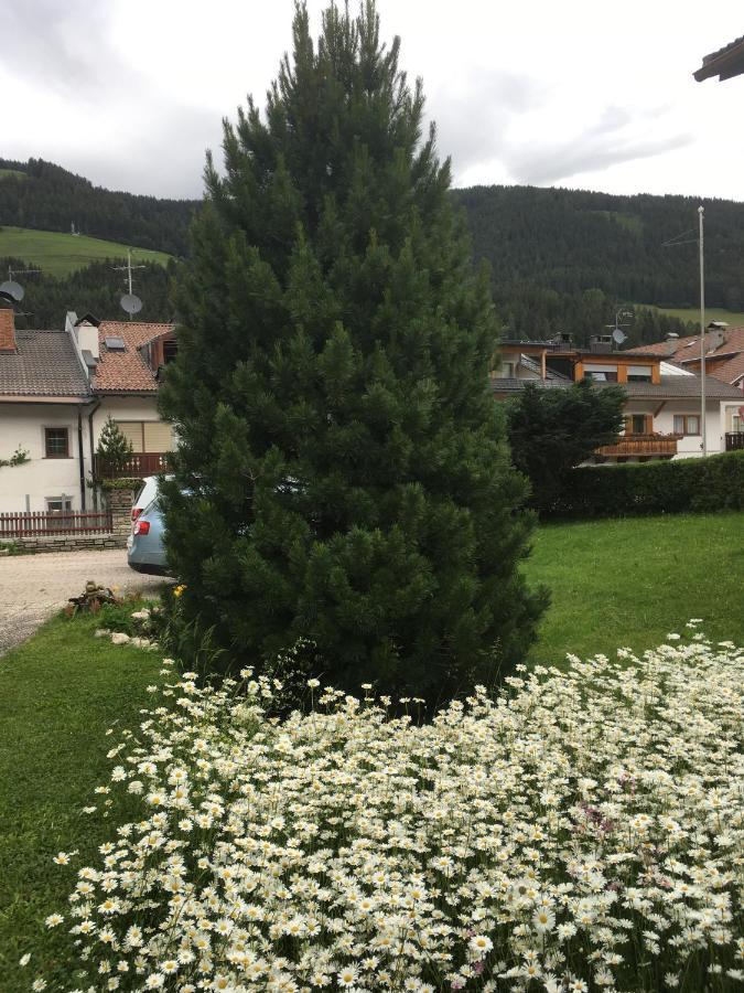 Haus Michael Daire Villabassa Dış mekan fotoğraf