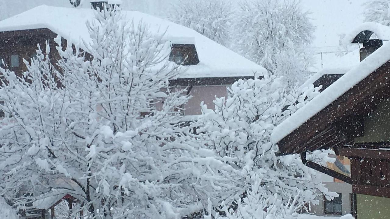 Haus Michael Daire Villabassa Dış mekan fotoğraf